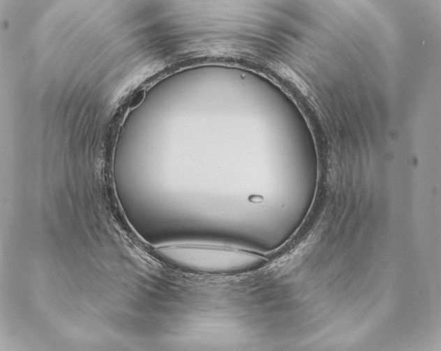 X0000088570922200706151642