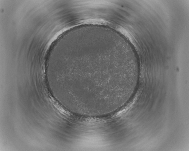 X0000088570923200706151643