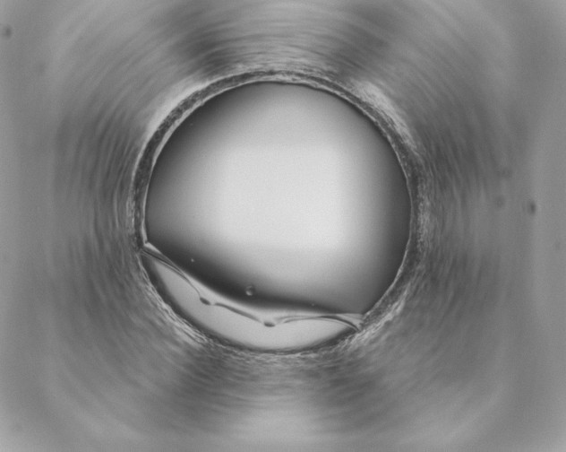 X0000088570924200706151643