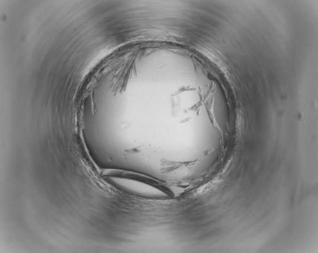 X0000088570925200706151643