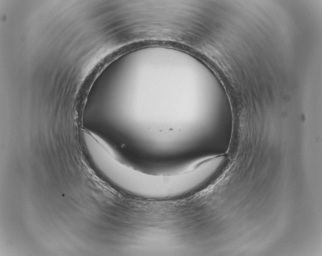 X0000088570926200706151643