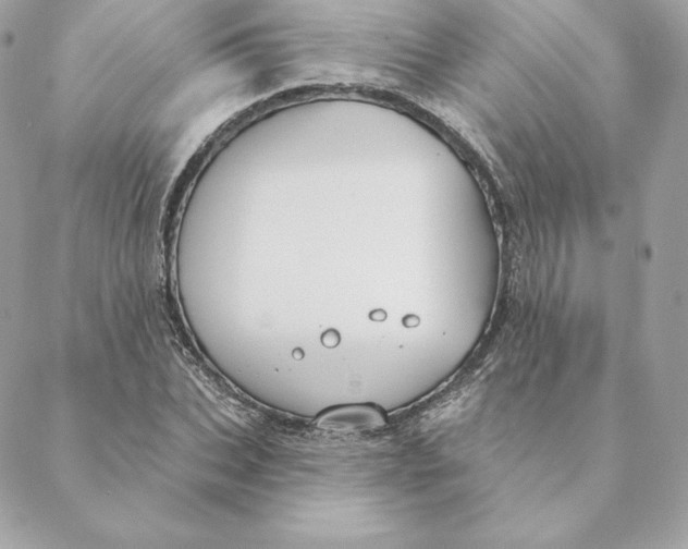 X0000088570927200706151643