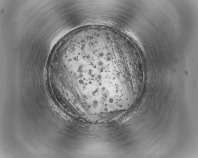 X0000088570928200706151643