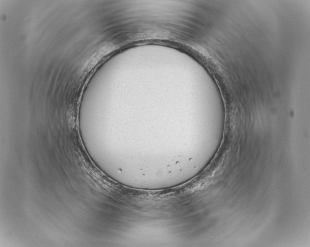 X0000088570929200706151643