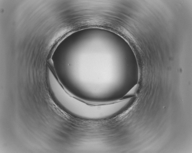 X0000088570930200706151643