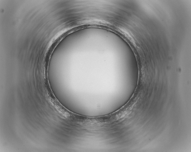 X0000088570931200706151643