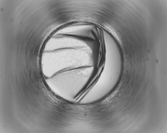 X0000088570932200706151643