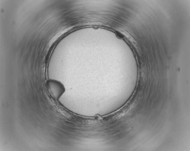 X0000088570933200706151643