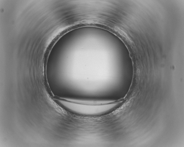 X0000088570934200706151643