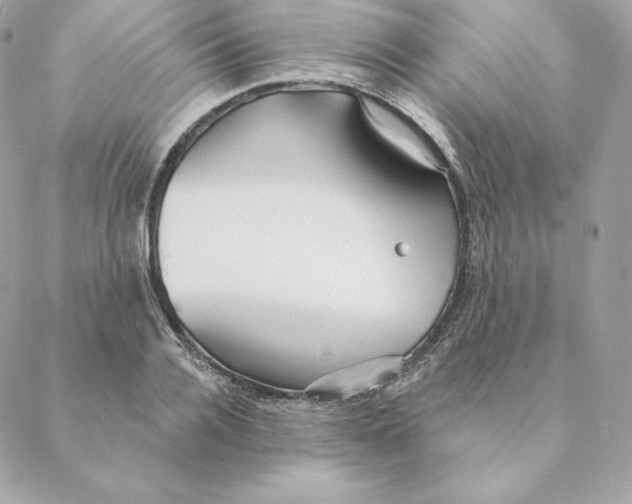 X0000088570936200706151643