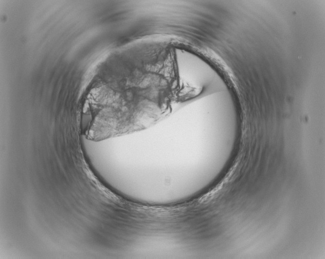 X0000088570937200706151643