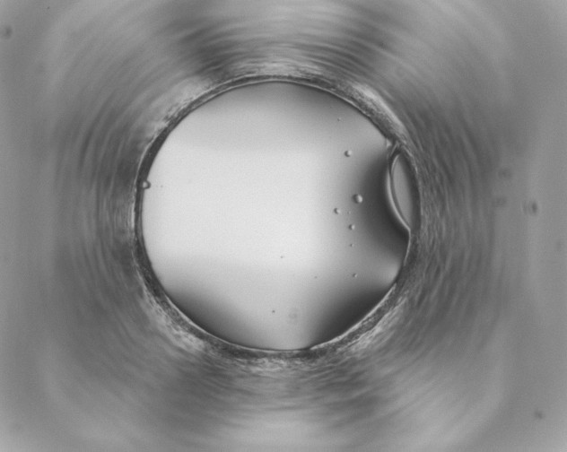 X0000088570938200706151643