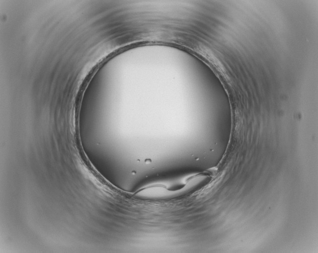 X0000088570939200706151643