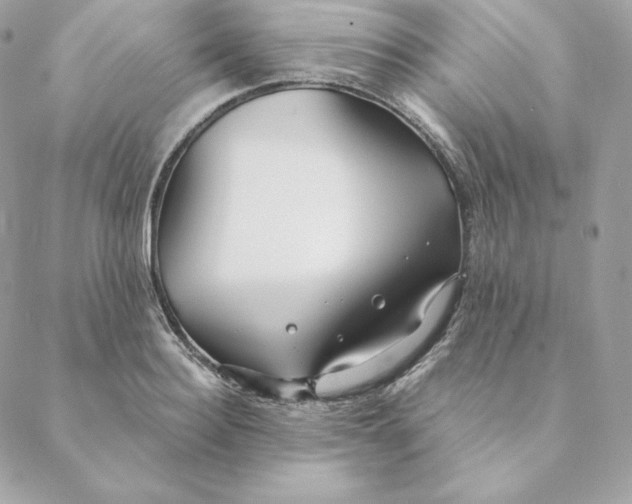 X0000088570940200706151643