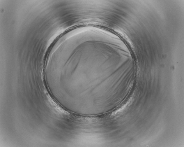 X0000088570941200706151643