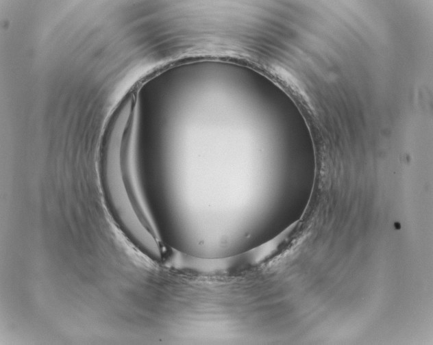 X0000088570942200706151643