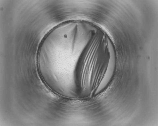 X0000088570943200706151643