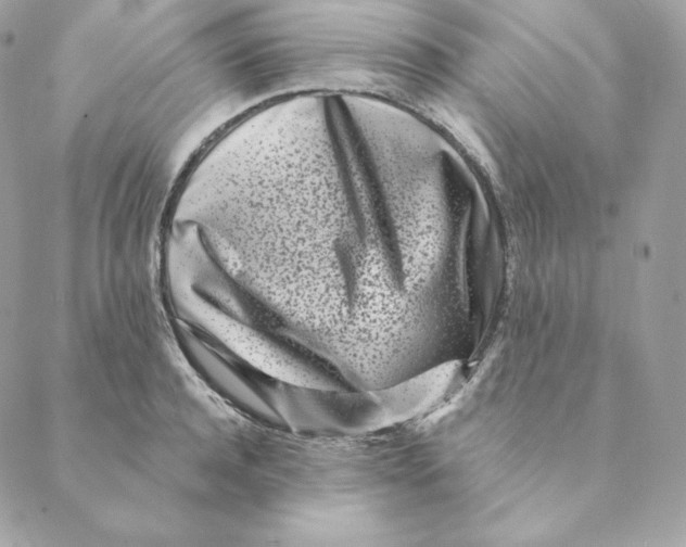 X0000088570944200706151643