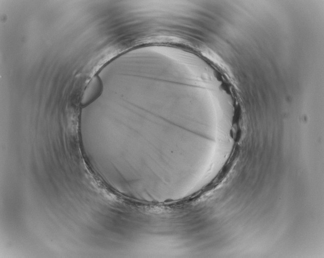 X0000088570945200706151643