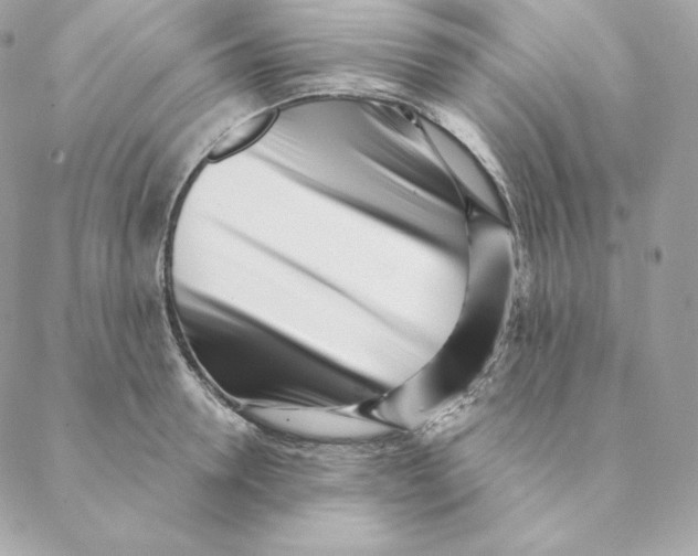 X0000088570946200706151643