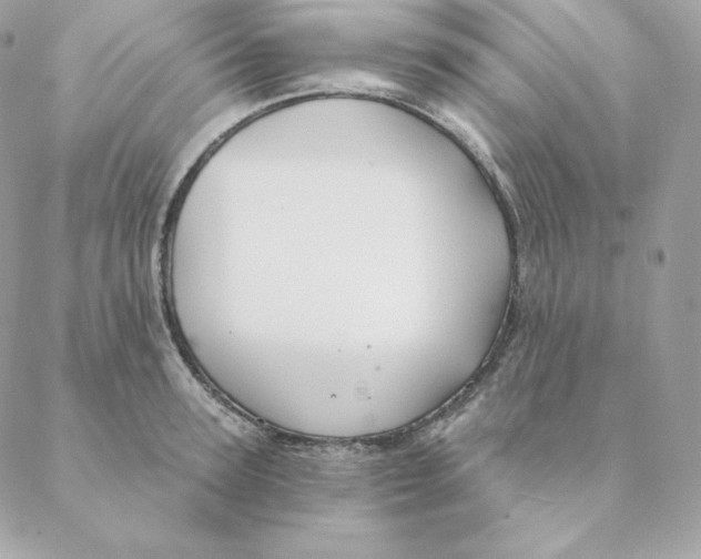 X0000088570947200706151643