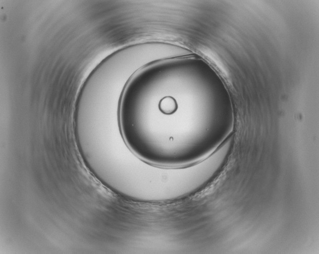 X0000088570948200706151643