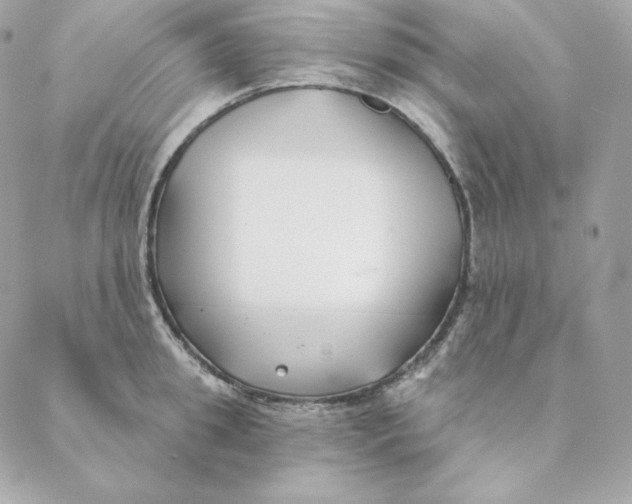 X0000088570949200706151643