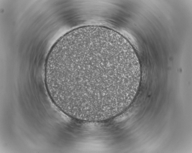 X0000088570950200706151643