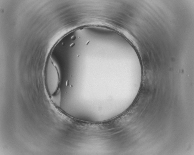 X0000088570951200706151643