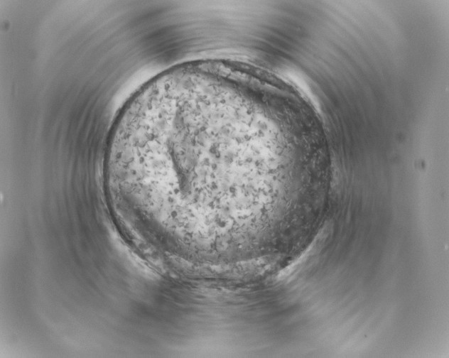 X0000088570952200706151643