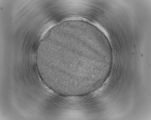 X0000088570953200706151643