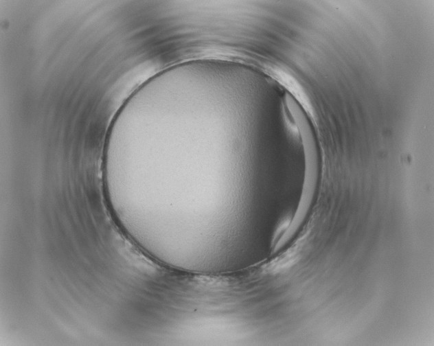 X0000088570954200706151643