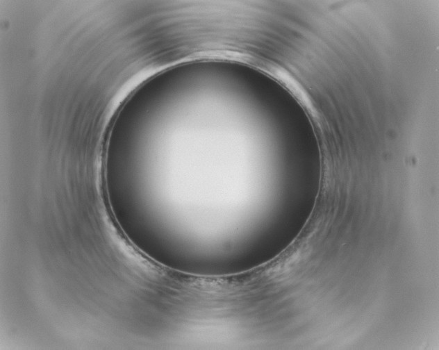 X0000088570955200706151643