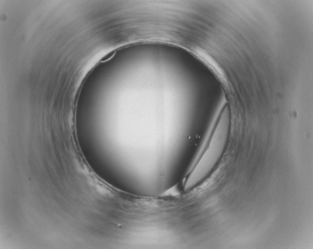 X0000088570956200706151643