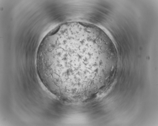 X0000088570957200706151643