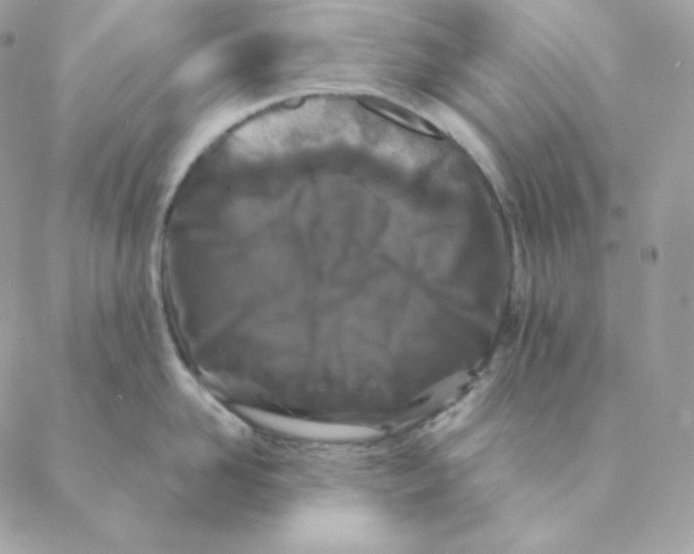 X0000088570958200706151643