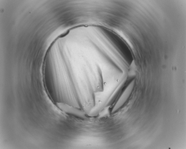 X0000088570959200706151643