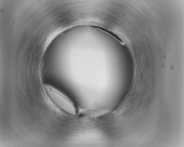 X0000088570960200706151643