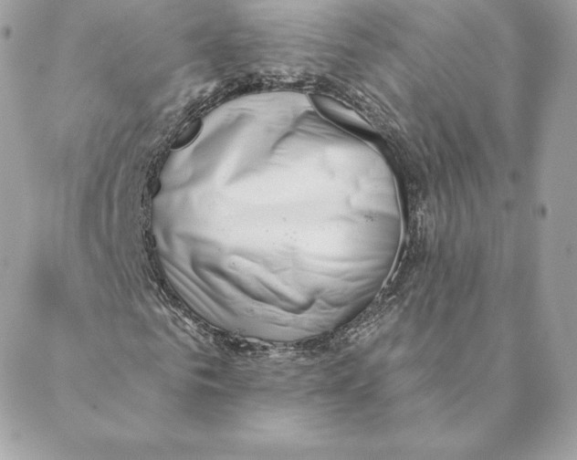 X0000088570961200706151642