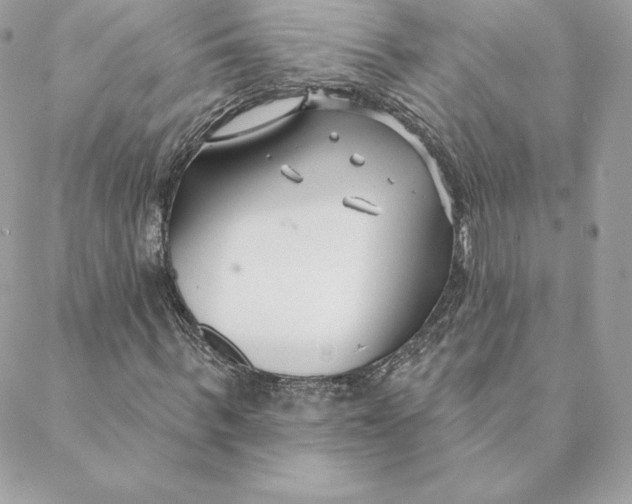 X0000088570963200706151642