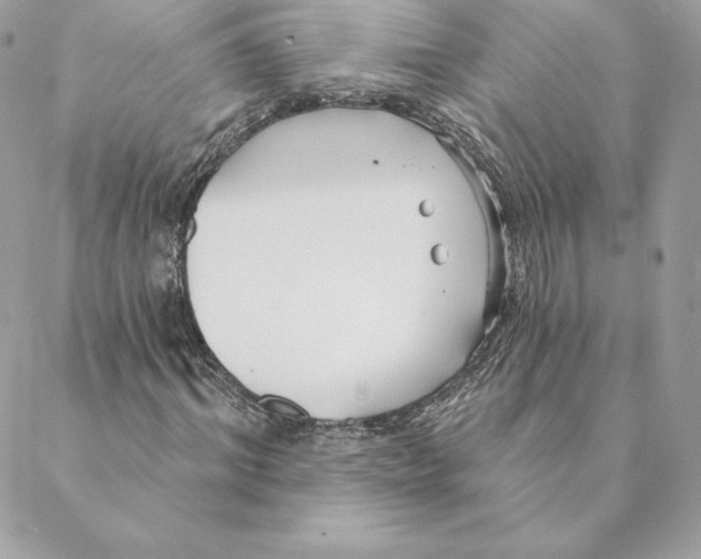 X0000088570964200706151642