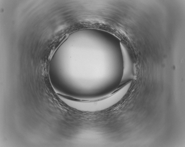 X0000088570965200706151642