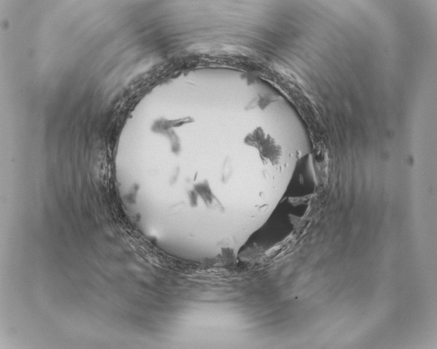 X0000088570966200706151642