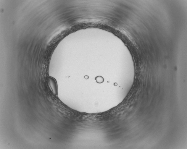 X0000088570967200706151642