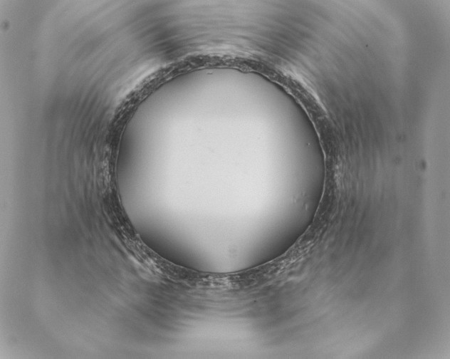 X0000088570968200706151642