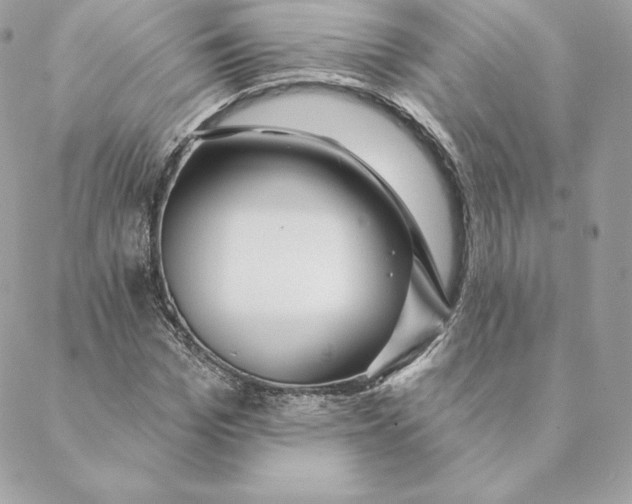 X0000088570969200706151642