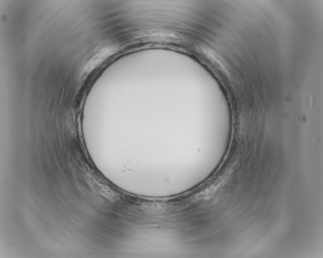 X0000088570970200706151642