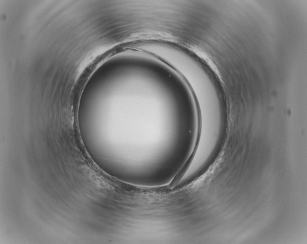 X0000088570973200706151642