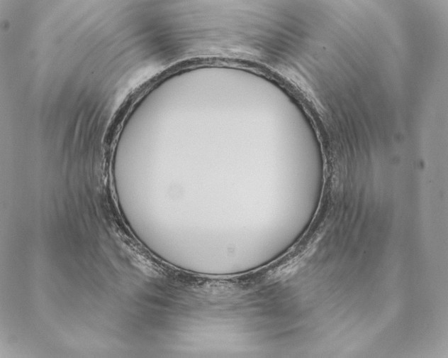 X0000088570974200706151642