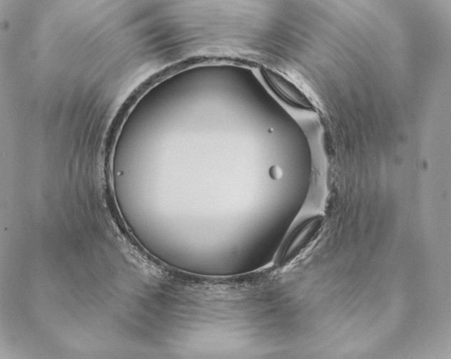 X0000088570976200706151642